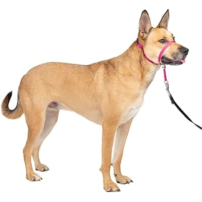 PetSafe Gentle Leader No-Pull Dog Headcollar - The Ultimate Solution to Pulling - Redirects Your Dogs Pulling for Easier Walks - Helps You Regain Control - Medium, Raspberry Pink
