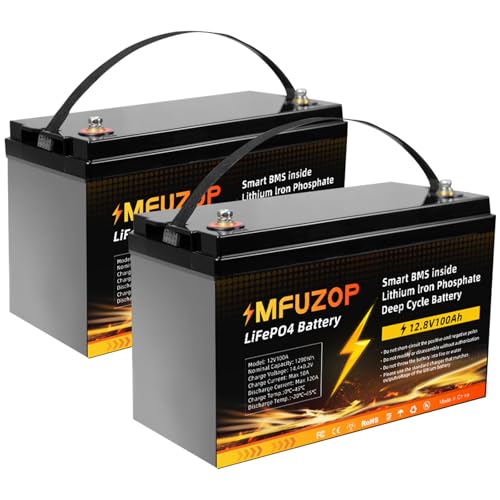 12V 200Ah LiFePO4 Lithium Battery, 2560Wh Lithium Battery with Built-in 100A BMS, Up to 20000 Cycles, Supports SeriesParallel for Home Solar, RVs, Boats, Trolling Motor Group 31  2