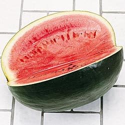 Watermelon Black Diamond Great Heirloom Vegetable By Seed Kingdom Bulk 1 Lb Seeds