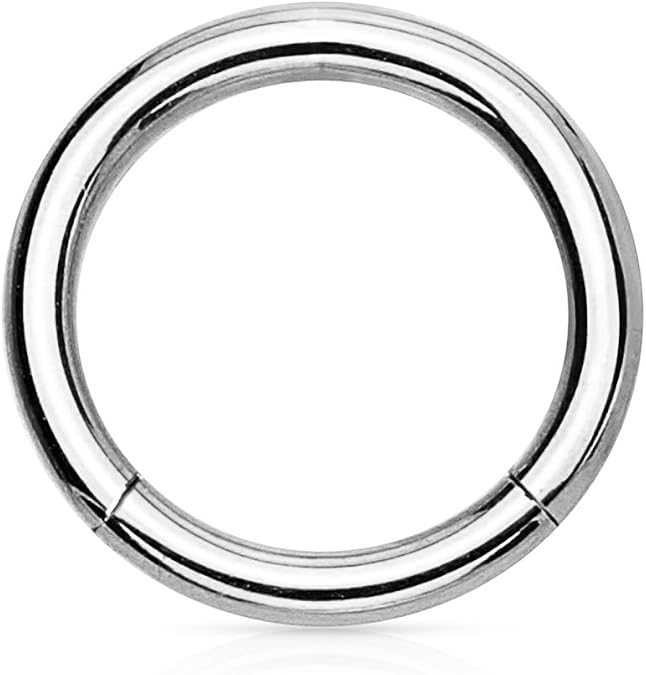 Forbidden Body Jewelry conch piercing jewelry, daith earrings, tragus hoop, 14g - 16g Titanium Hinged Seamless Body Piercing Hoop ring (Sold Individually)