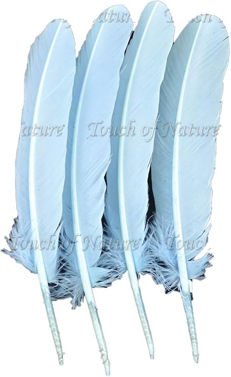 Touch of Nature 4-Piece Turkey Feather for Art and Craft, 12.25 to 13-Inch, Baby Blue