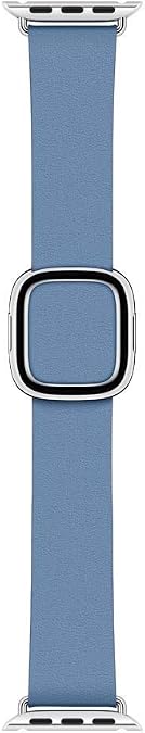 Apple Watch (40mm) Modern Leather Strap Cornflower - Large