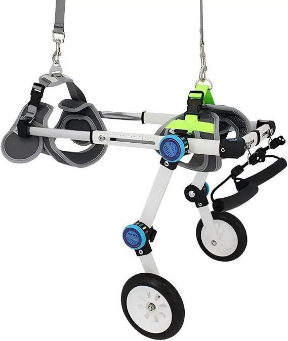 Adjustable Dog Wheelchair, Lightweight Two-Wheel Support for Hind Legs - Pet Mobility Cart for Small to Large Dogs, Injury Recovery and Hip Dysplasia, Non-Interference with Potty(M)