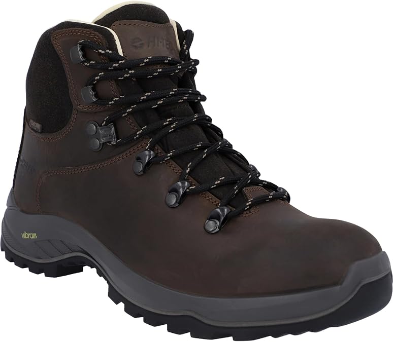 Hi-Tec Men's Ravine Pro WpWalking Shoe