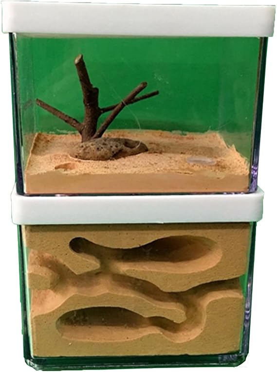 Acrylic Transparent Ant Farm Nest - Ant Observation & Education - Suitable for Children & Enthusiasts - Gift Giving