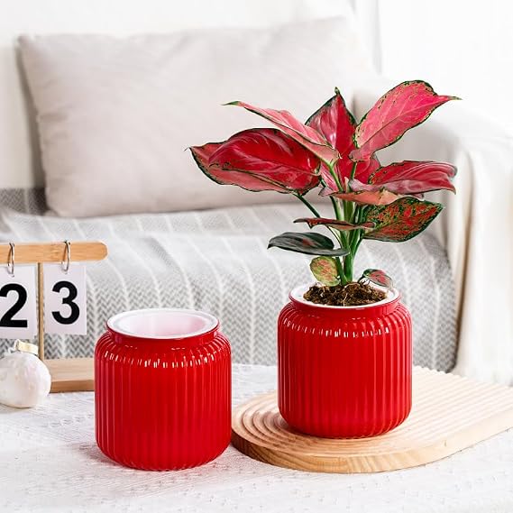 2PCS Self Watering Planters 5.12 Inch Self Watering Pots for Indoor Plants, African Violet Pots with Wick Rope, Flowers, Succulents, Herb, House Plants