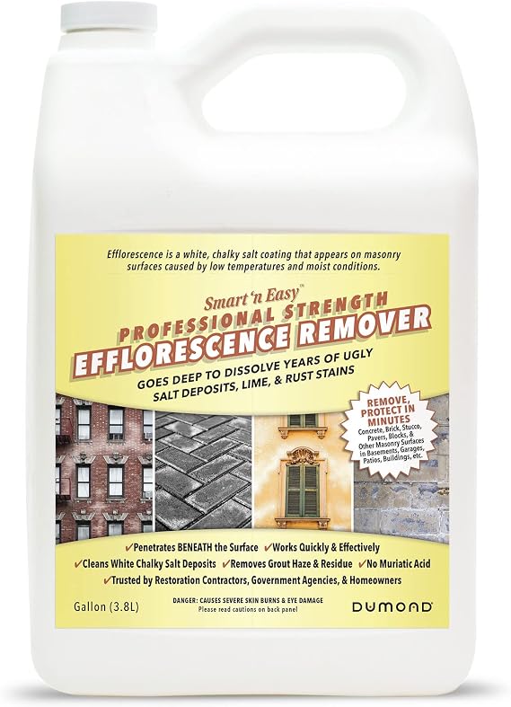 Smart 'n Easy Efflorescence Remover - Heavy Duty Professional Strength Formula - Removes The Toughest Salt, Calcium, and Magnesium Deposits from Concrete, Brick, Stucco, Pavers, More - 1 Gallon