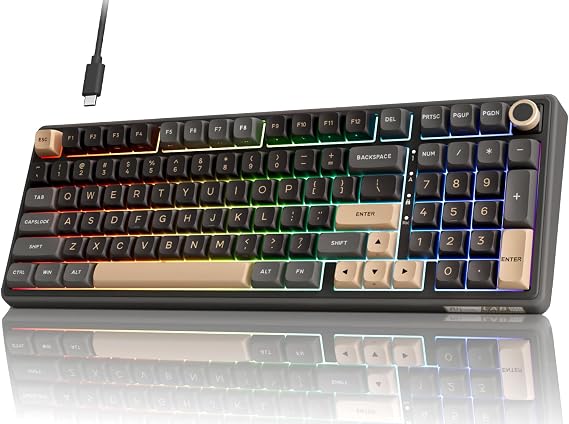 RK ROYAL KLUDGE R98 Pro 有線メカニカルキーボード RGB PCゲーミングキーボード ナンバーパッドとボリュームノブ付き ガスケットマウント MDA Profile PBT キーキャップ Win/Mac用 ホットスワップ可能 タクタイルベージュスイッチ