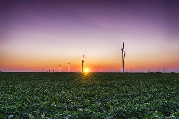 AllPosters Wall Photographic Print USA, Indiana. Soybean Field and Wind Farm at Sundown by Rona Schwarz, 18x12
