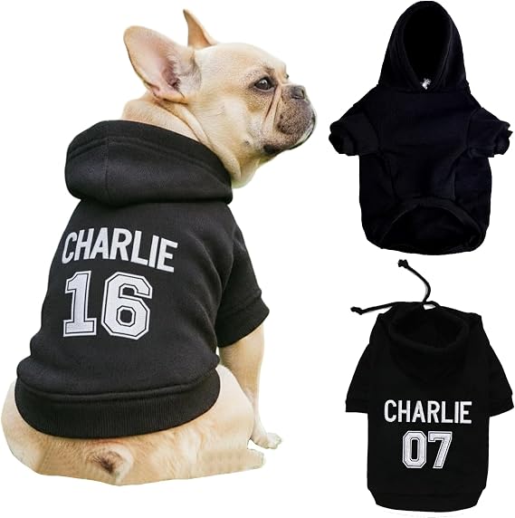 Personalized Name Dog Hoodie, Embroidered Puppy Sweater with Name and Number, Custom Pet Clothes Warm Winter Outfit for Dogs, Bright Puppy Sweatshirt, Pet Birthday Outfit, Gift for Dog Lovers