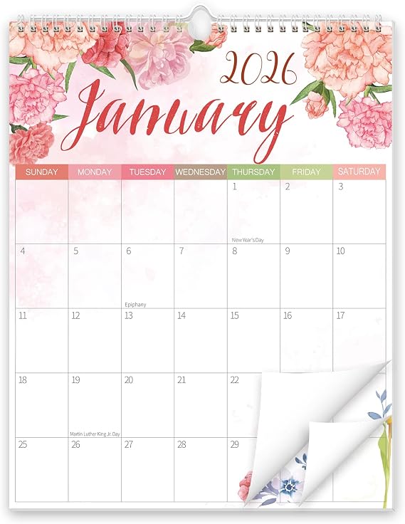 Guasslee Wall Calendar 2026-2027, 2026 Wall Calendar, 18-Month Academic Desktop PlannerFrom Jan. 2026 - Jun. 2027, 14" X 11" Monthly Planner With Corner Protectors, Thick Paper For Home School Office