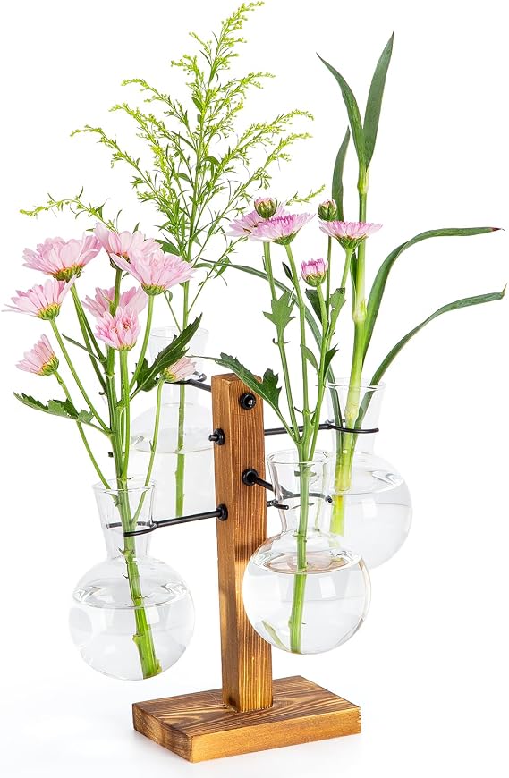 Plant Propagation Station | Terrarium with Wood Stand | for Hydroponics Plants Home Office Garden Decor Planter Plant Lover Gifts (PTW400) | 4 Bulb Glass Vases