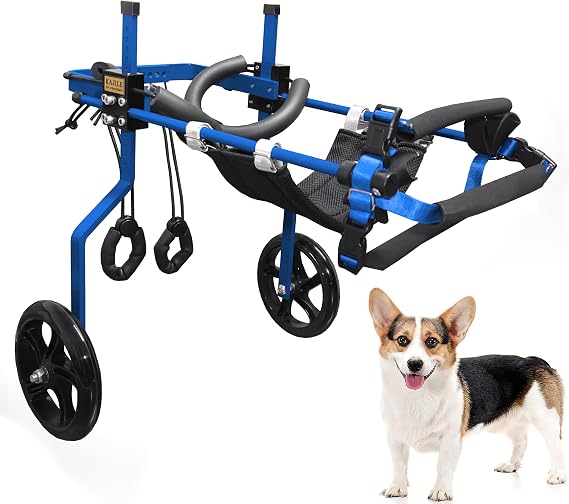 Adjustable Dog Wheelchair,Dog Hind Leg Rehabilitation,Blue,M-2