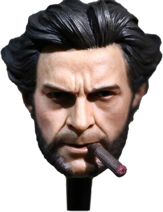 Phicen Custom Head Sculpt for 1/6 Scale Male Body