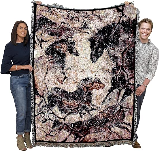 Pure Country Weavers Ancient Hall Blanket by Cecilia Henle - Southwest Cave Rock Art - Gift Tapestry Throw Woven from Cotton - Made in the USA (72x54)